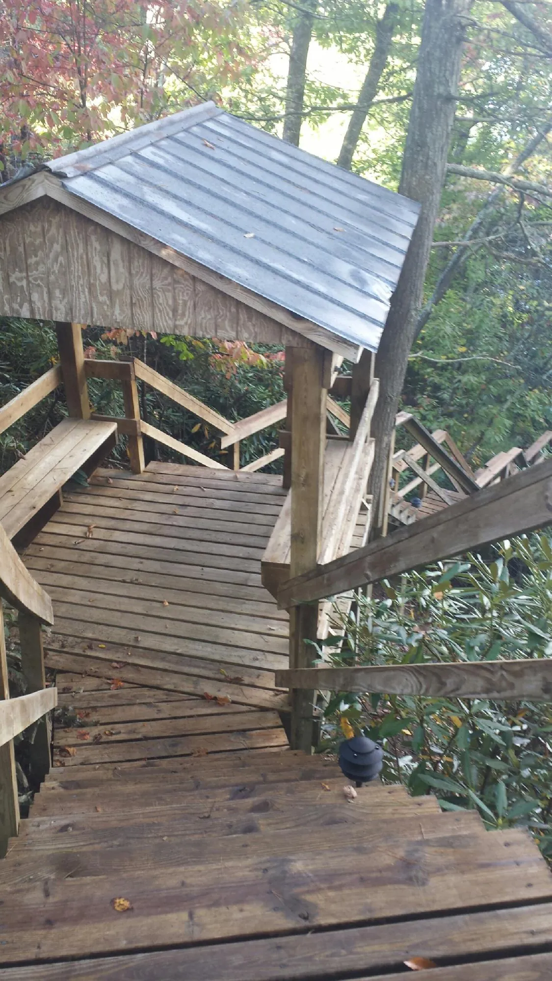 Metal roofed shelter over wooden steps on a wooded walkway — Skylight Repair & Installation work by our crew in Pageland